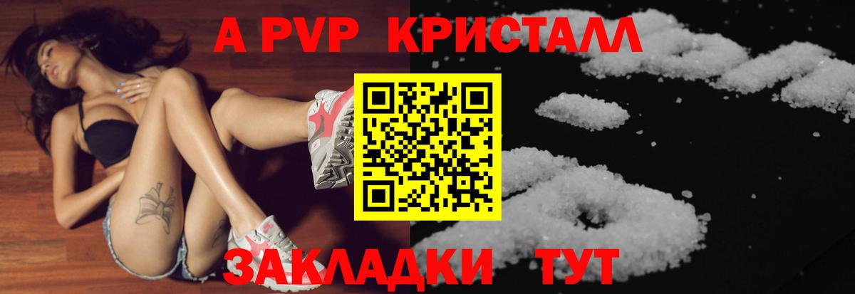 Гатчина  Альфа ПВП СК КРИС  Вход с VPN  APVP СК 