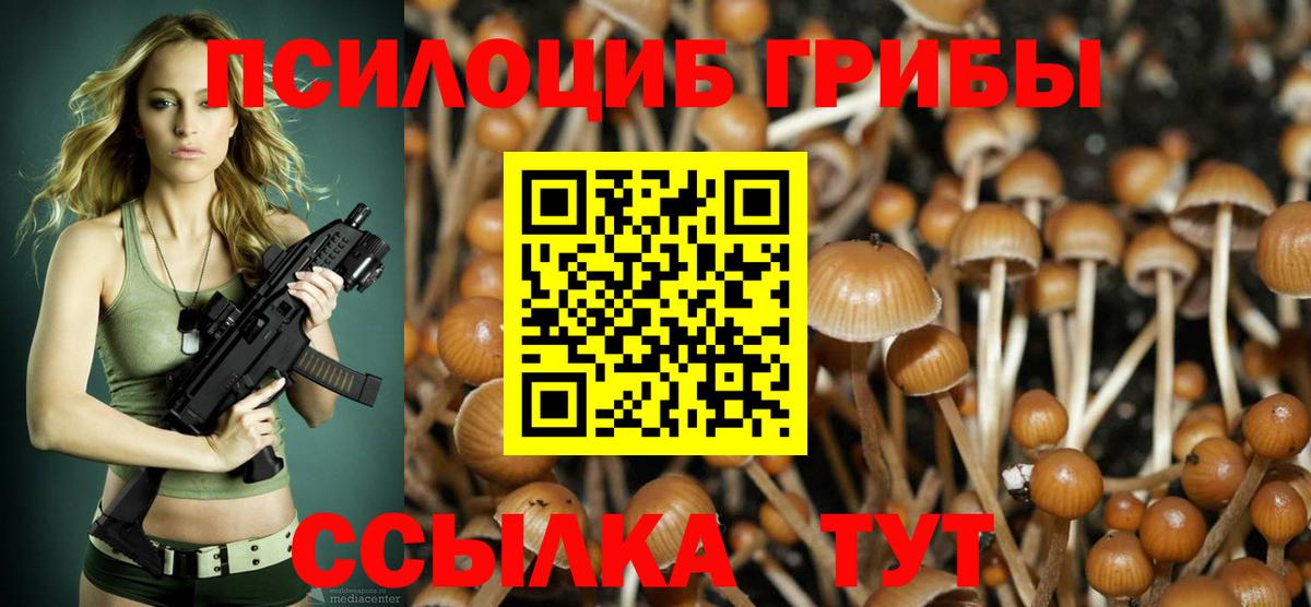 Псилоцибиновые грибы Magic Shrooms  Вход с VPN  Гатчина 