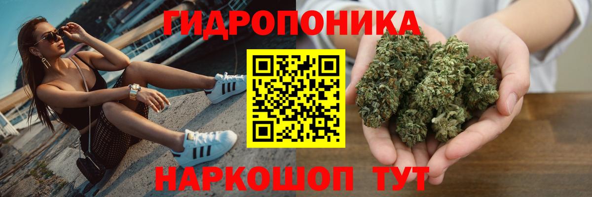 Гатчина  Каннабис марихуана  Бошки марихуана семена  Вход с VPN  Бошки Шишки индика 